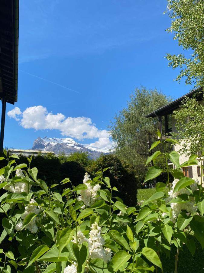 Appartement Lumineux Et Cosy En Rez De Jardin Saint-Gervais-les-Bains Exterior foto